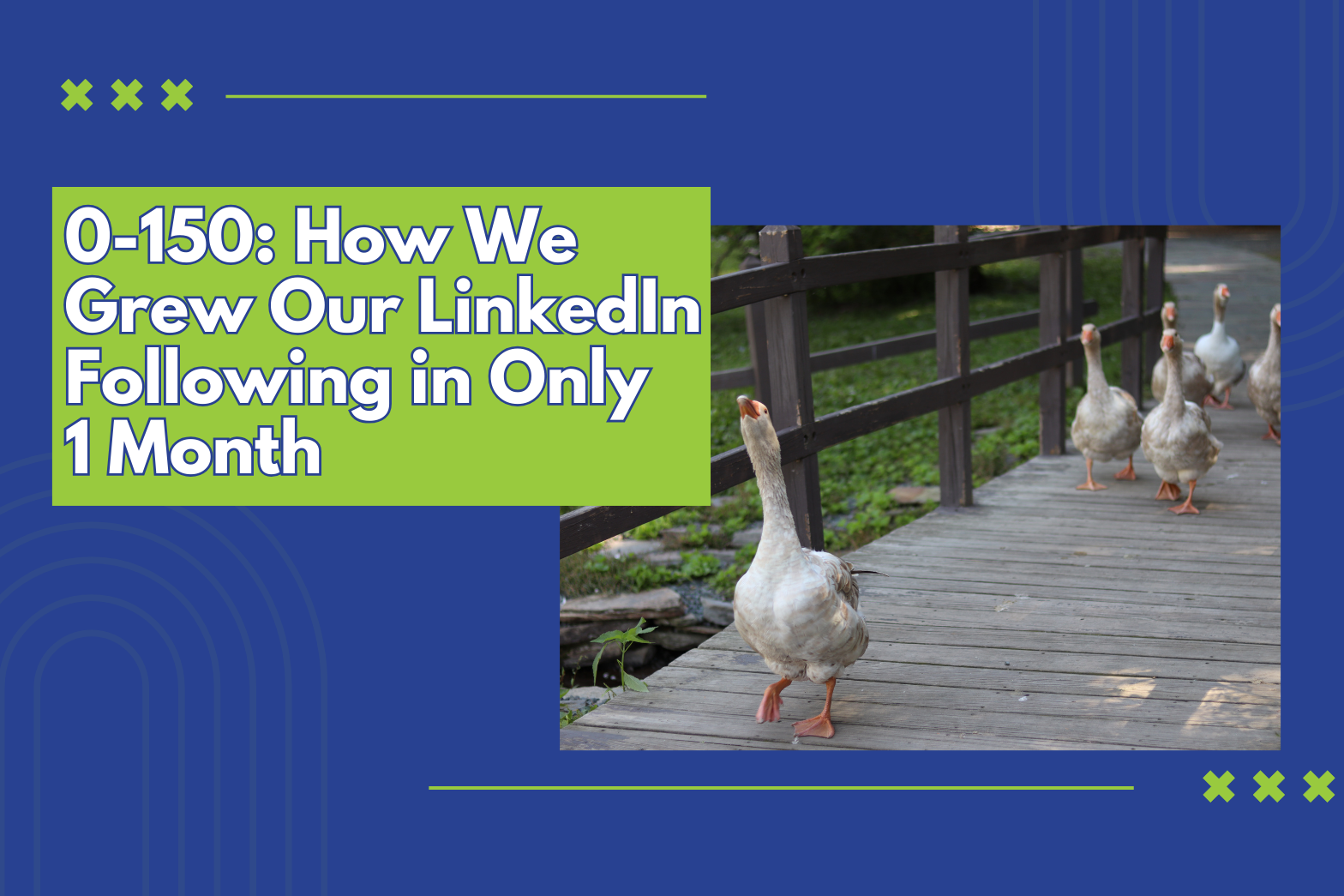 Growing LinkedIn Audience